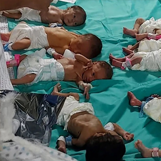 Human Beings versus Numbers